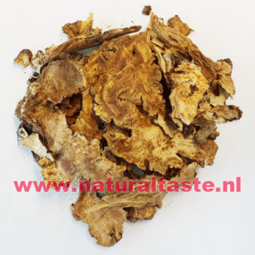 GAO BEN • Rhizoma Ligustici