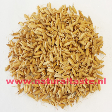 GU YA (SHENG) • Fructus Setariae Germinatus