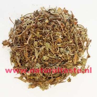JIN QIAN CAO • Herba Lysimachiae