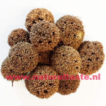 LU LU TONG • Fructus Liquidambaris